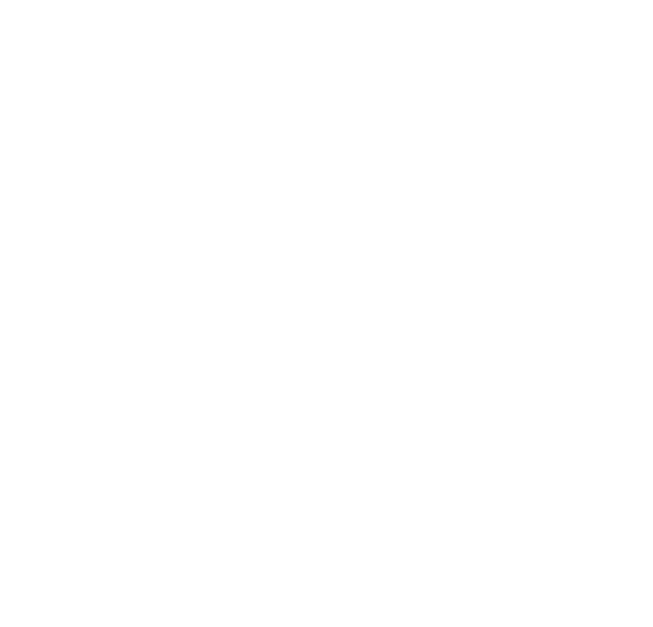 Amazon - success partner of SultanCode