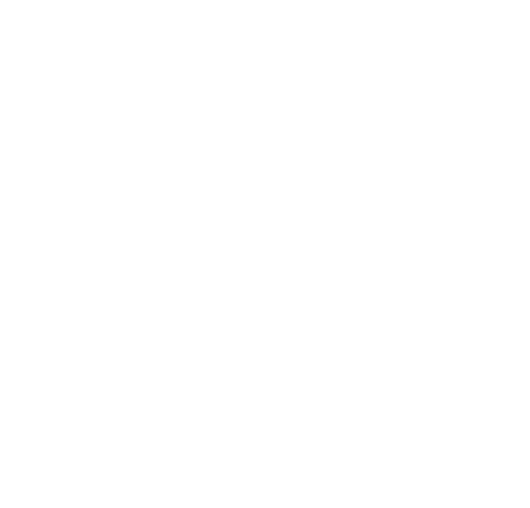Envato Market - success partner of SultanCode