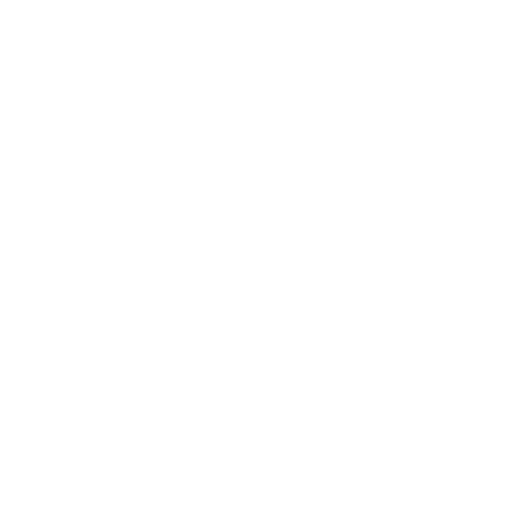 Google - success partner of SultanCode