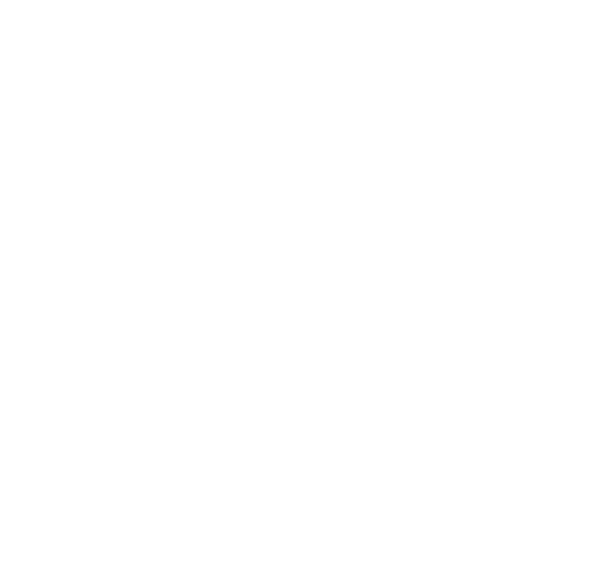 SNB (AlAhli Bank) - success partner of SultanCode