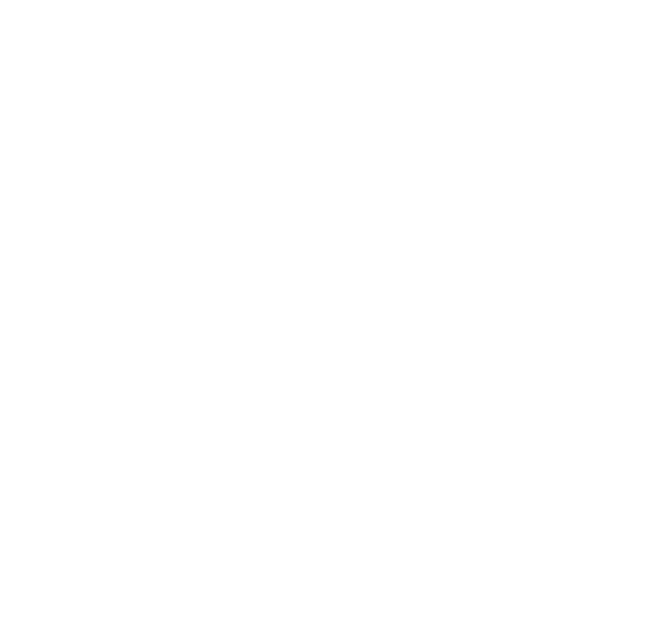 ZeroSSL (Comodo) - success partner of SultanCode